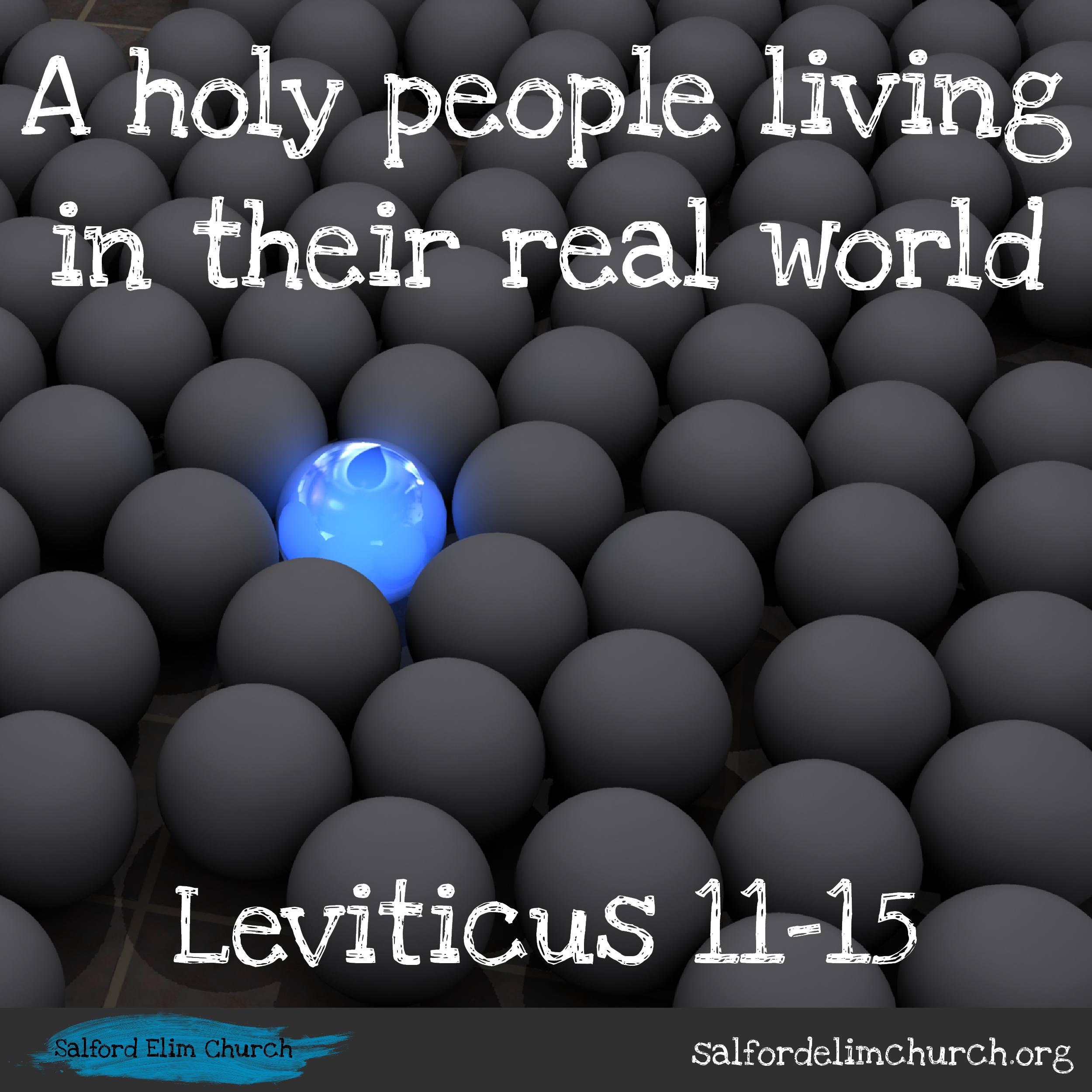 Leviticus 11-15 | A holy people living in their real world