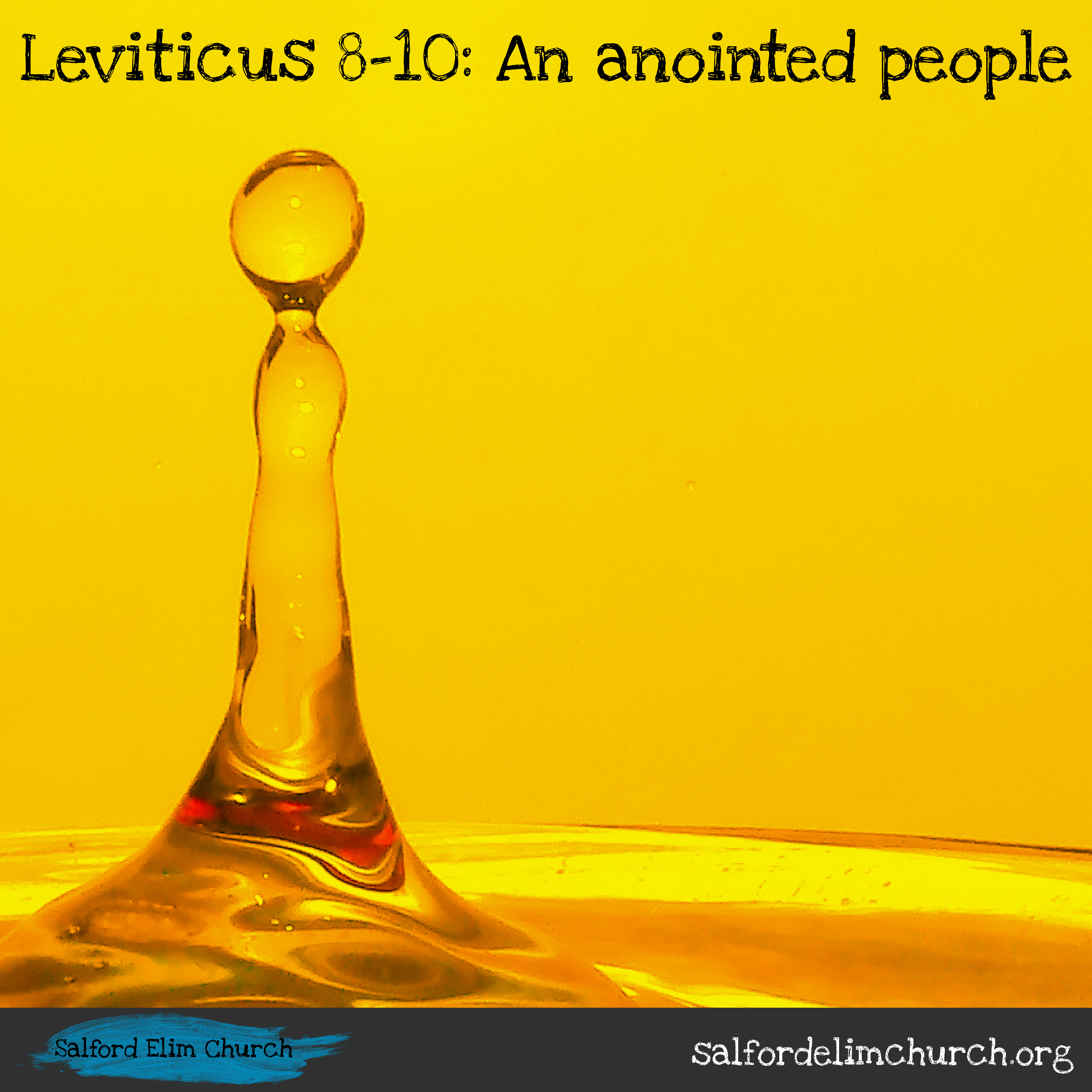 Leviticus 8-10 | An anointed people