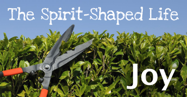The Spirit-Shaped Life >> Joy