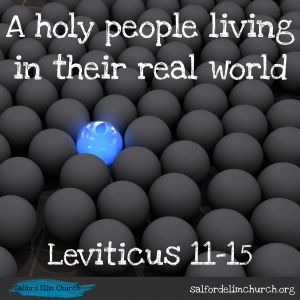 Leviticus 11-15 | A holy people living in their real world