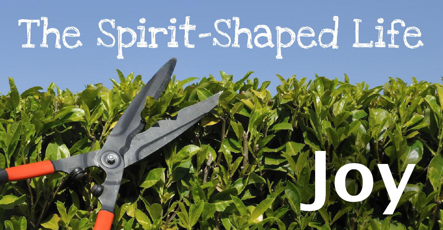 The Spirit-Shaped Life >> Joy